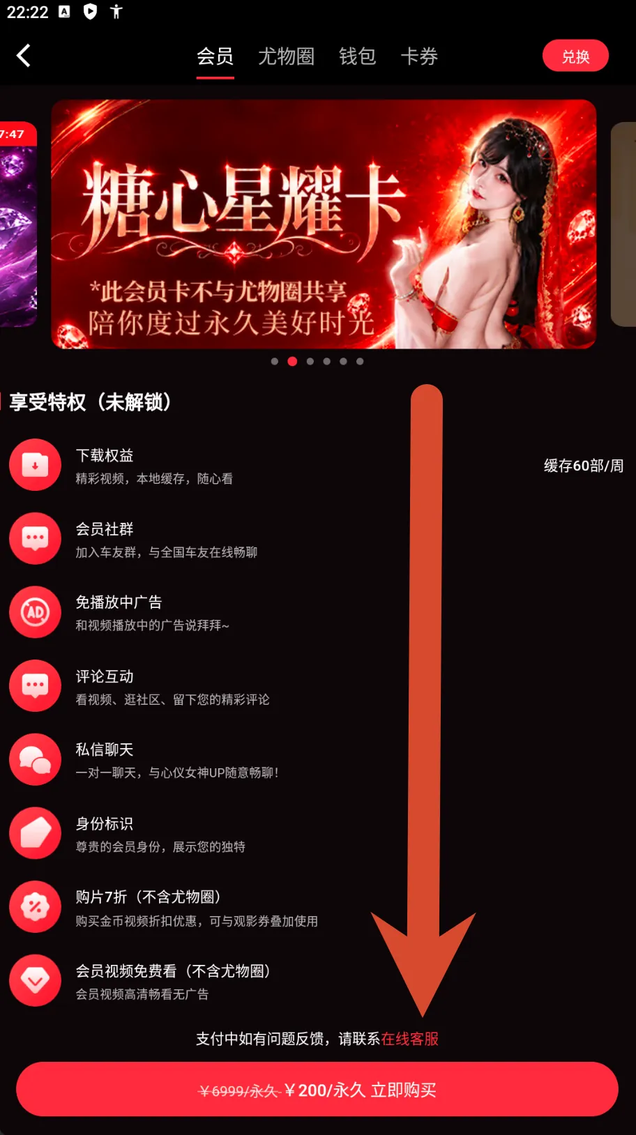 糖心Vlog星耀会员卡价格截图