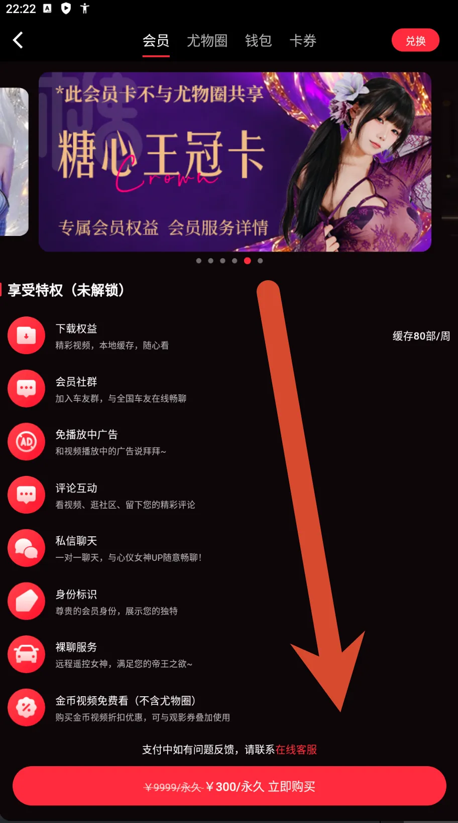 糖心Vlog皇冠会员卡价格截图